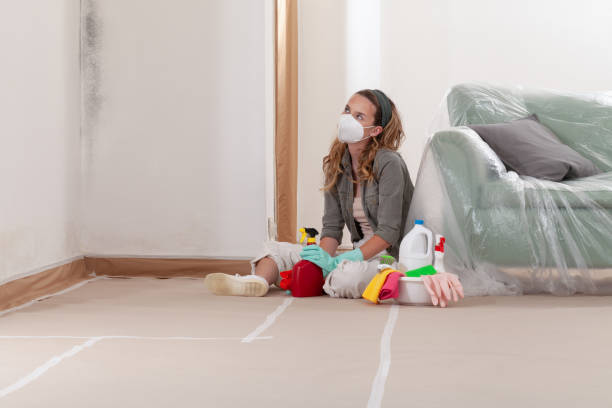 Reliable Mold Cleanup contractor in Revere, MA by WQB Mold Removal